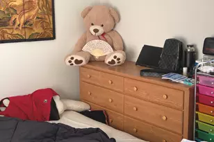 459 W 26th St, Chicago, IL 60616 - Photo 4