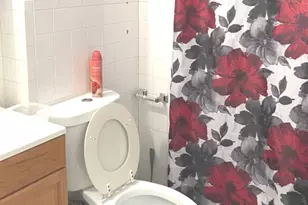 459 W 26th St, Chicago, IL 60616 - Photo 12