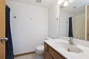 4549 W Tulip Ave, Monee, IL 60449 - Photo 16