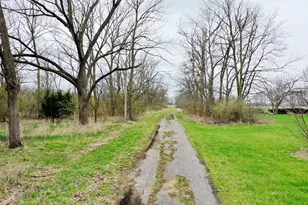 109 W South Park St, Thawville, IL 60968 - Photo 4