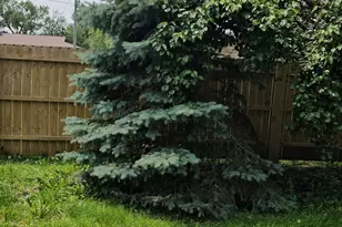 309 N Market St, Hoopeston, IL 60942 - Photo 24