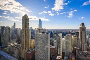 175 E Delaware Pl, Chicago, IL 60611 - Photo 12