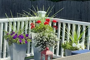 316 Bedford Rd, Bolingbrook, IL 60440 - Photo 28