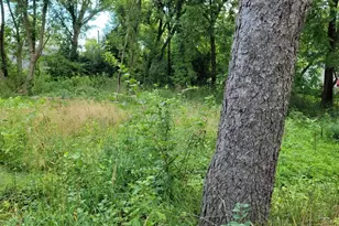 25586 W High Street W, Wauconda, IL 60084 - Photo 1