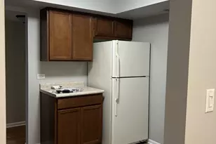 207 W Park Ave, Libertyville, IL 60048 - Photo 6