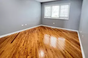 123 Iliad Dr, Tinley Park, IL 60477 - Photo 12