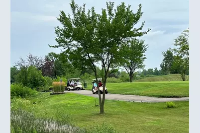 123 Iliad Drive, Tinley Park, IL 60477 - Photo 4