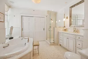 20 E Cedar St, Chicago, IL 60610 - Photo 18