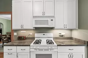 1134 S Scoville Ave, Oak Park, IL 60304 - Photo 18