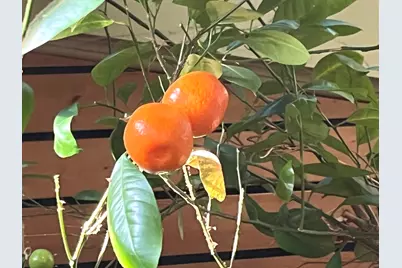 8750 Gurler Road, Dekalb, IL 60115 - Photo 42