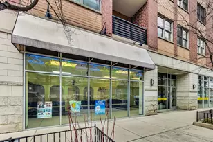 871 N Larrabee St, Chicago, IL 60610 - Photo 1