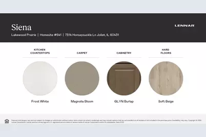 7507 Honeysuckle Lane, Joliet, IL 60431 - Photo 20