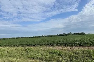 30 Acres Church and Racine Ave, Beecher, IL 60401 - Photo 2