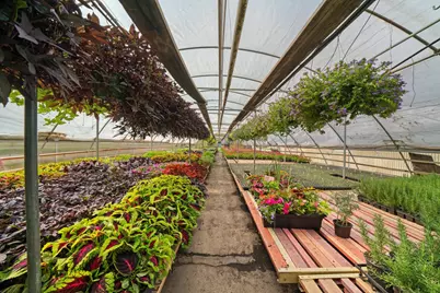 7117 S Roberts Road, Bridgeview, IL 60455 - Photo 18