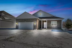 203 Hickory St, Peotone, IL 60468 - Photo 1