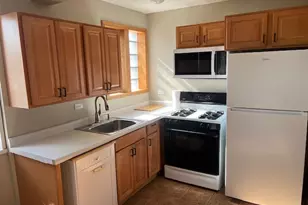 7210 Oak Ave, River Forest, IL 60305 - Photo 4