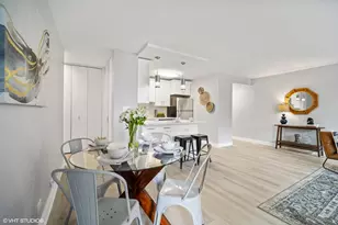 33 E Cedar St, Chicago, IL 60611 - Photo 4