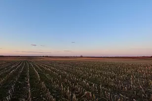 000 Jersey Rd, Tampico, IL 61283 - Photo 14