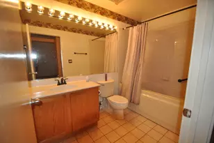 1000 E 53rd St, Chicago, IL 60615 - Photo 10