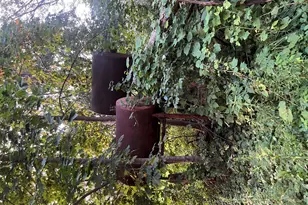 42771 N Delany Rd, Wadsworth, IL 60083 - Photo 10