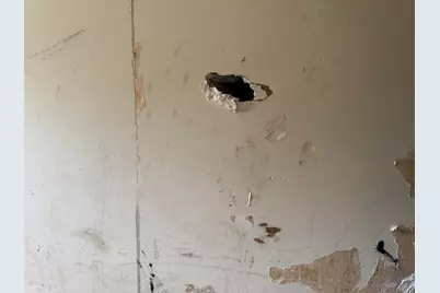 421 E Wise Road, Schaumburg, IL 60193 - Photo 20