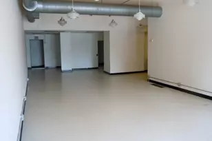 1012 S Western Ave, Chicago, IL 60612 - Photo 14