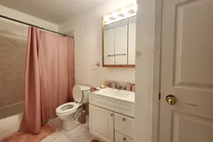 10A E Dundee Quarter Dr, Palatine, IL 60074 - Photo 16