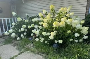 641 N Jackson Ave, Bradley, IL 60915 - Photo 34