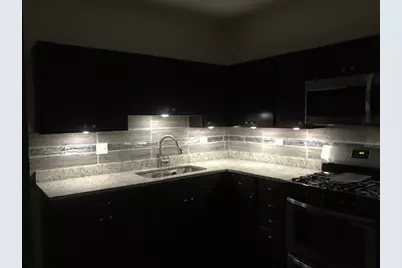 1024 N Lawler Avenue, Chicago, IL 60651 - Photo 18