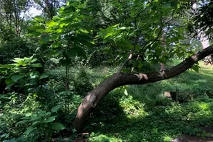 35403 N 2nd Ave, Ingleside, IL 60041 - Photo 1