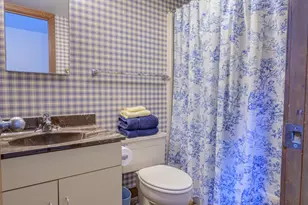 19 Cedar Bluff Ln, Galena, IL 61036 - Photo 16