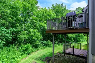 19 Cedar Bluff Ln, Galena, IL 61036 - Photo 24