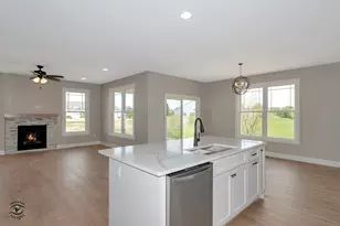 392 White Hawk Way, Manteno, IL 60950 - Photo 8