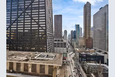 159 E Walton Place #18A, Chicago, IL 60611 - Photo 52