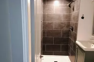 8018 S Laflin St, Chicago, IL 60620 - Photo 10