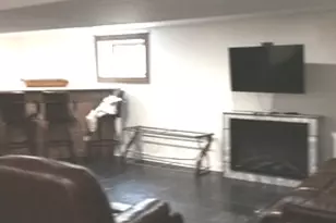 11633 S Avenue H, Chicago, IL 60617 - Photo 26