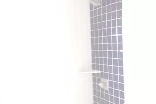 11633 S Avenue H, Chicago, IL 60617 - Photo 52