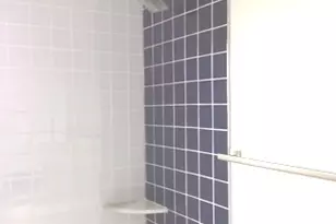 11633 S Avenue H, Chicago, IL 60617 - Photo 54