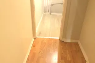 8518 S Givins Ct, Chicago, IL 60620 - Photo 12