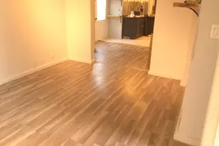 8518 S Givins Ct, Chicago, IL 60620 - Photo 4