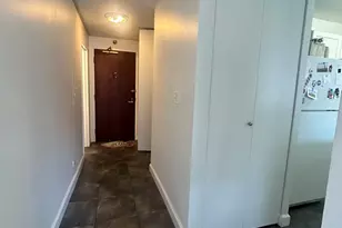 440 N Wabash Ave, Chicago, IL 60611 - Photo 8