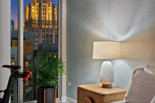 550 N St Clair St, Chicago, IL 60611 - Photo 28