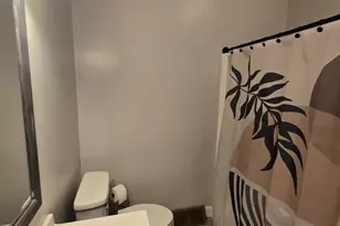 376 S Oak St, Manteno, IL 60950 - Photo 14