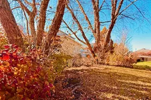 405 Wesley Ave, Savoy, IL 61874 - Photo 32