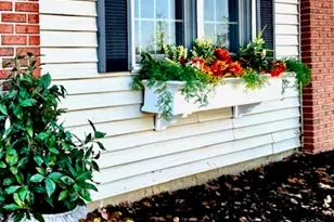 405 Wesley Ave, Savoy, IL 61874 - Photo 8