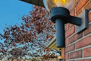 405 Wesley Ave, Savoy, IL 61874 - Photo 12