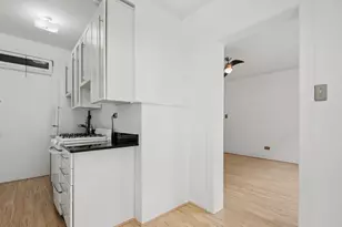 3602 N Pine Grove Ave, Chicago, IL 60613 - Photo 8