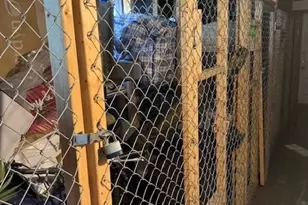 3438 N Hamlin Ave, Chicago, IL 60618 - Photo 18