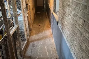 3438 N Hamlin Ave, Chicago, IL 60618 - Photo 16