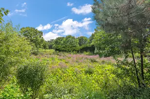 8700 Berkley Ct, Orland Park, IL 60462 - Photo 36